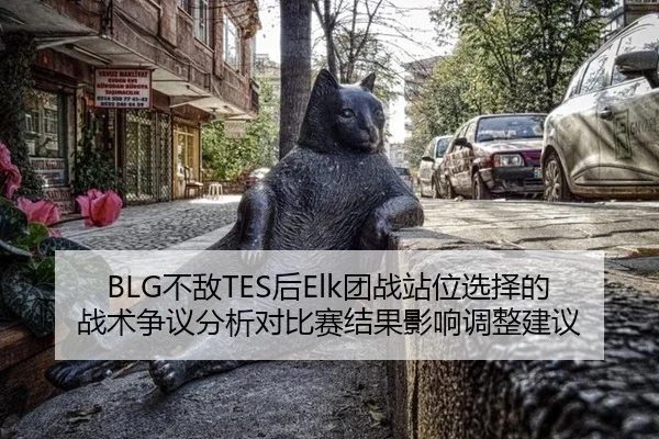BLG不敌TES后Elk团战站位选择的战术争议分析对比赛结果影响调整建议
