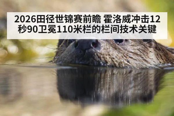 2026田径世锦赛前瞻 霍洛威冲击12秒90卫冕110米栏的栏间技术关键
